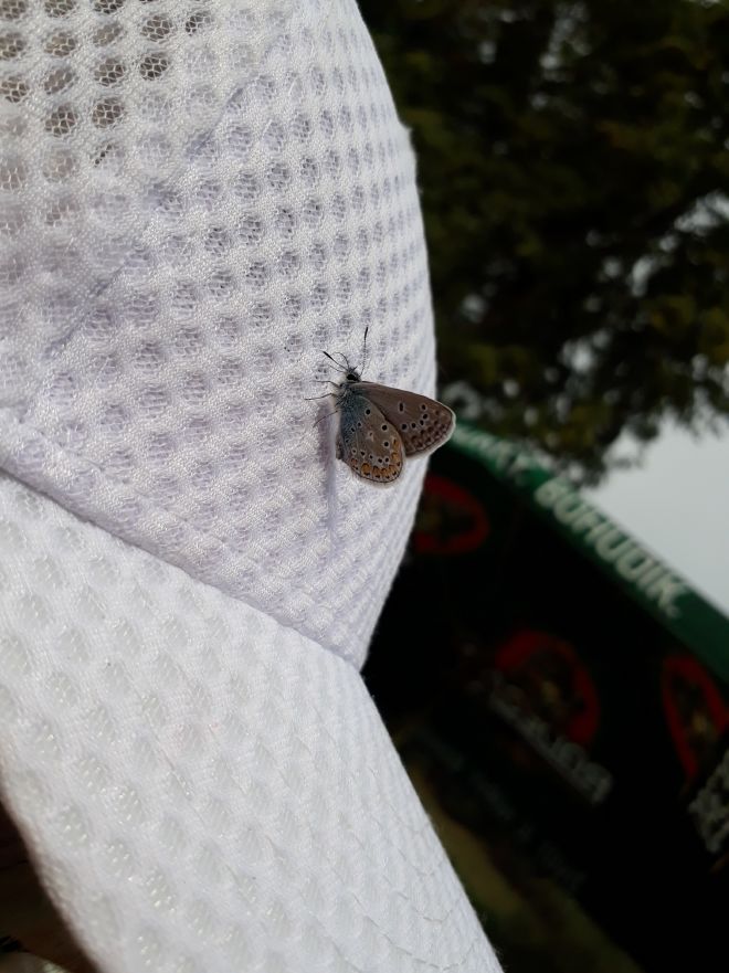 resized_hurá prázdniny2 015